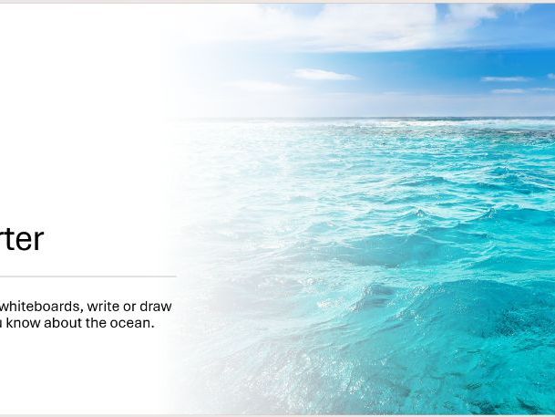 Somebody swallowed Stanley unit bundle