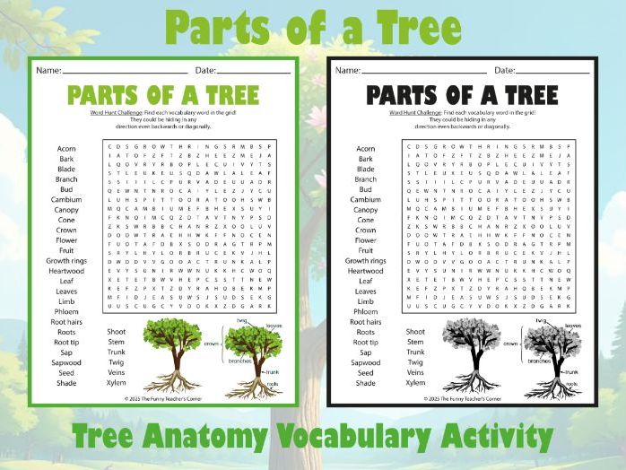 Parts of a Tree Word Search | Tree Anatomy Vocabulary Activity | for Grades 2–5
