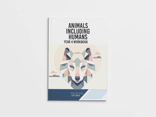 Animals Including Humans Year 4 Science Workbook | KS2 Science