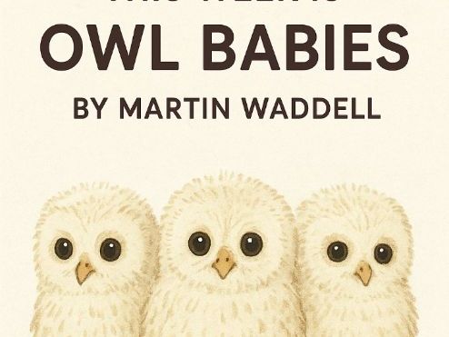 Owl Babies Talk for Writing