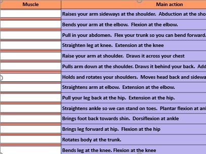 GCSE PE Powerpoints - Anatomy and Physiology - Skeletal and Muscular Systems