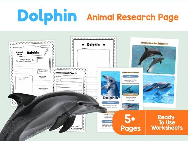 Dolphin Worksheets | Echolocation, Habitat and Adaptations