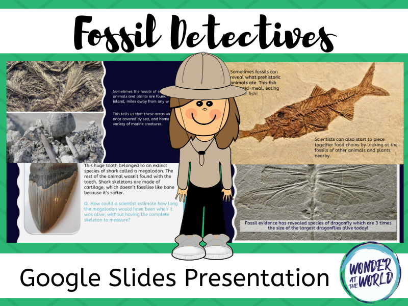 What can fossils tell us? Google Slides presentation Teaching Resources