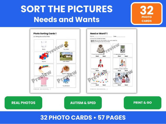 Needs and Wants Sorting with Real Photos