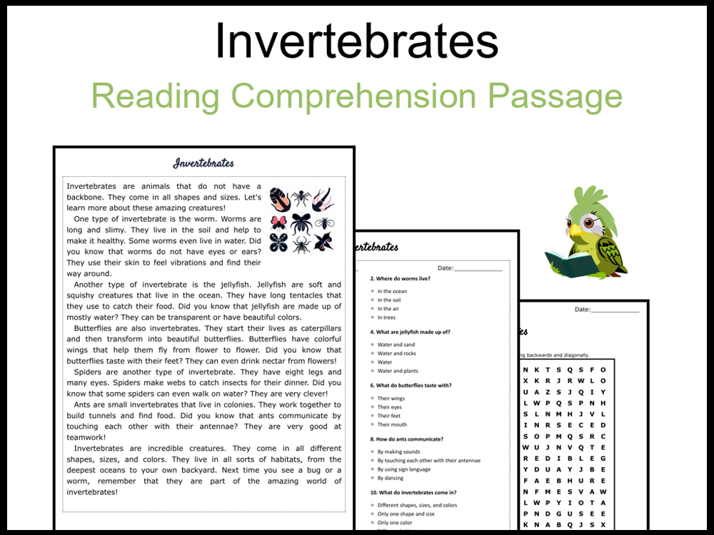 Invertebrates Reading Comprehension and Word Search | Teaching Resources