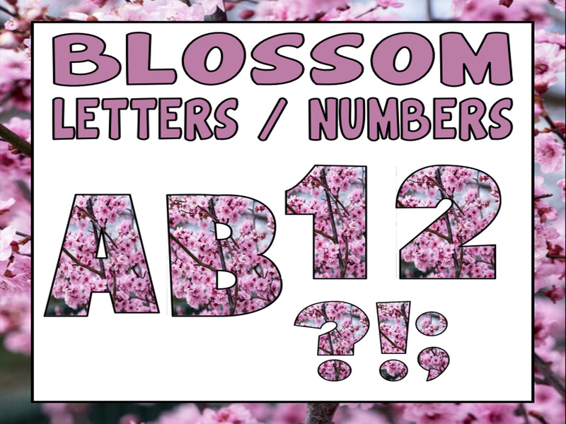 BLOSSOM FLOWERS LETTERING  - LETTERS AND NUMBERS