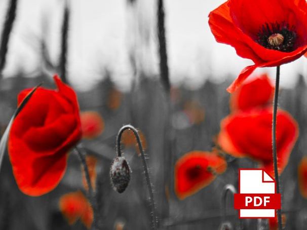 Exposure Poetry Revision Notes (AQA/Edexcel Conflict)