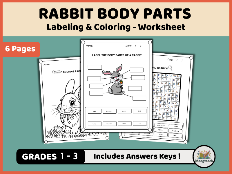 Rabbit Body Parts Activity Pack | Labeling, Coloring & Word Search (K-2 Pet/Mammal Vocabulary PDF)