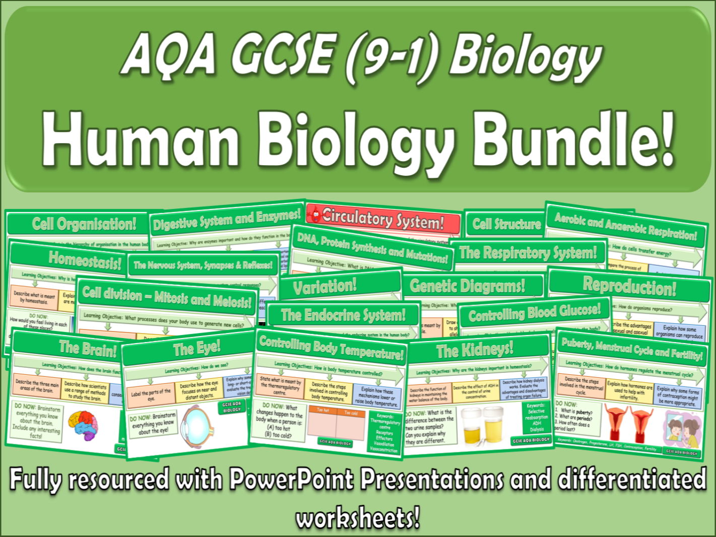 Human Biology AQA GCSE (9-1) Biology Bundle | Teaching Resources