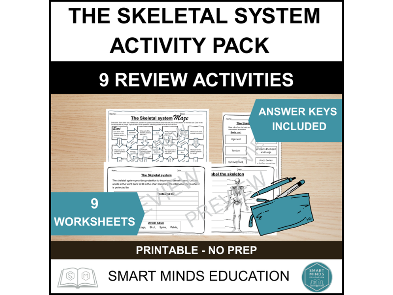 SKELETAL SYSTEM ACTIVITY PACK | 9 HUMAN SKELETON WORKSHEET ACTIVITIES