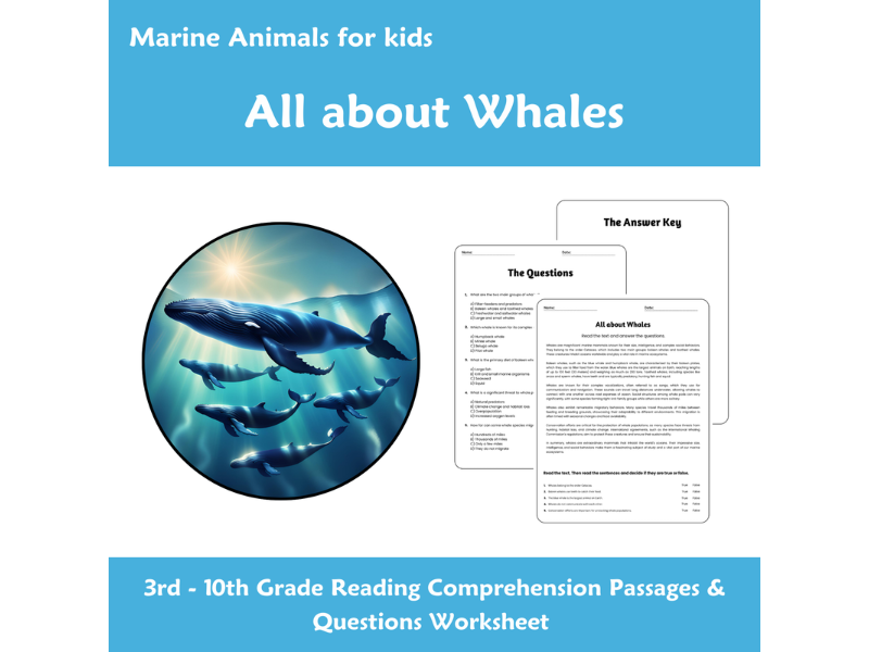 All About Whales Reading Comprehension Passages & Questions Worksheets ...