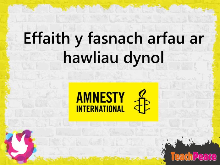 Effaith y fasnach arfau ar hawliau dynol
