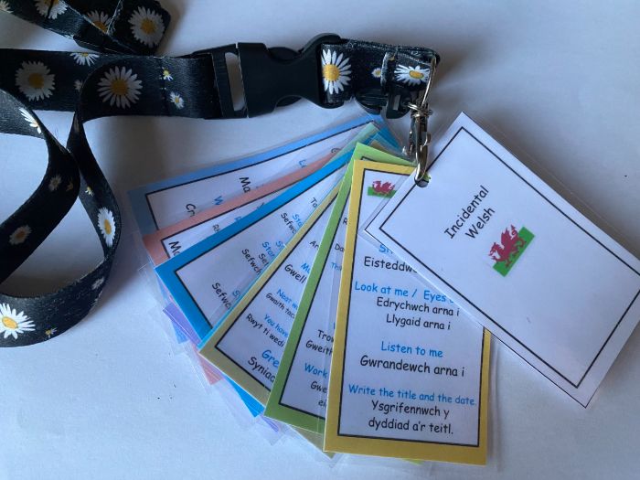 Incidental Welsh Lanyard including QR code soundbites to help with pronunciation