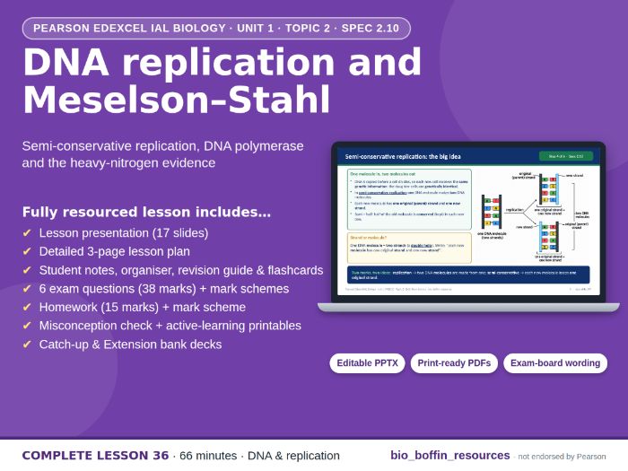 IAL Biology Edexcel – DNA Replication