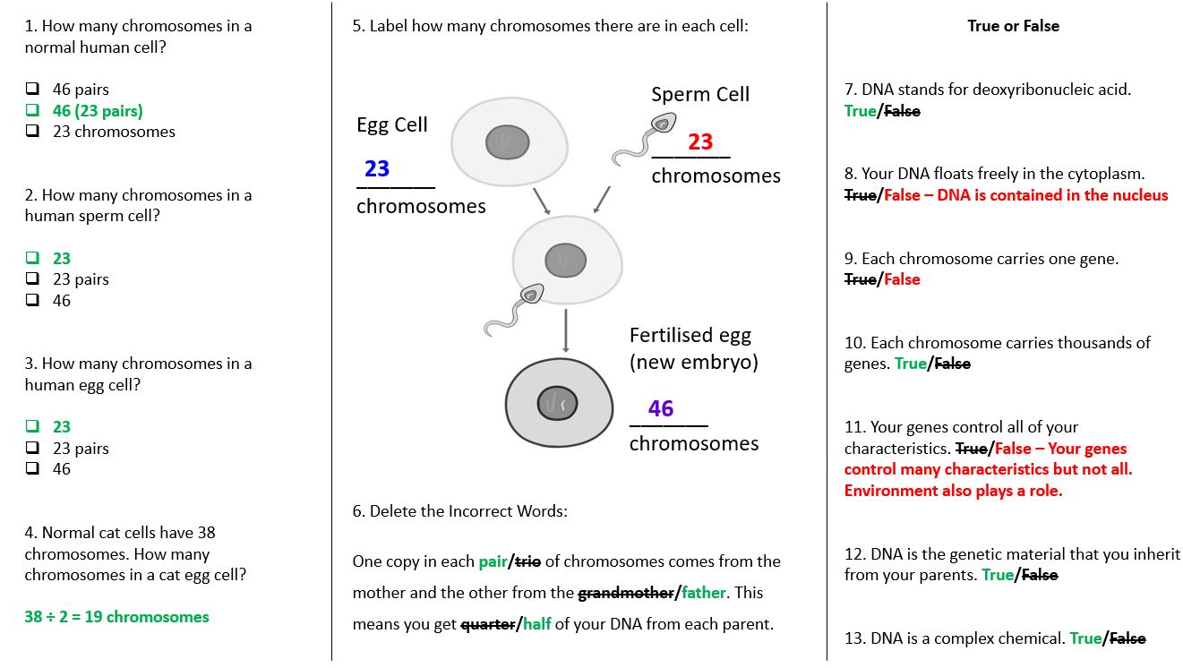 Inheritance ~ KS3 ~ Year 8 | Teaching Resources