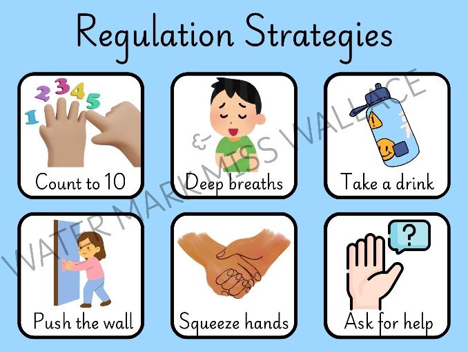 Emotional Regulation Strategies
