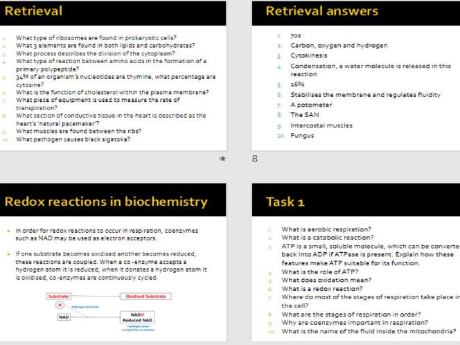 OCR A level biology: Module 5, Respiration -ENTIRE SOW INCLUDING BOOKLET
