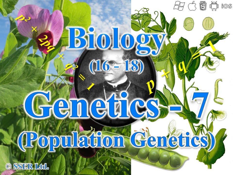 BioA_3.7.2 Population Genetics - Hardy Weinberg
