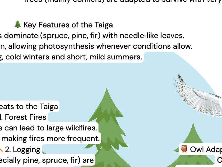 Taiga geography revision poster