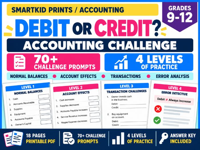 Debit or Credit Accounting Challenge Activities