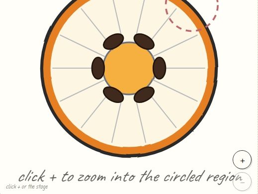 First 10 FREE | Fruit Histology for Kids