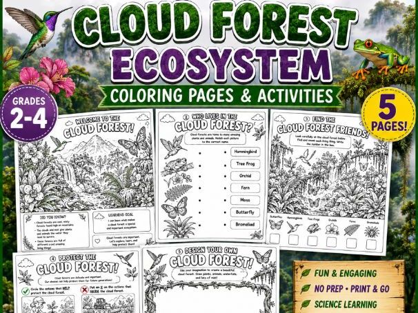 Cloud Forest Ecosystem Coloring Pages | Habitat Activities | Ecosystem Worksheet| Ages 7-10